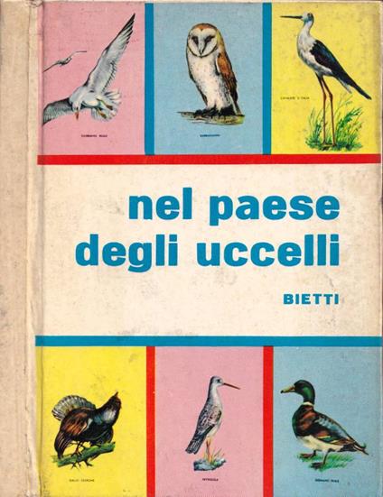 Nel paese degli uccelli - copertina