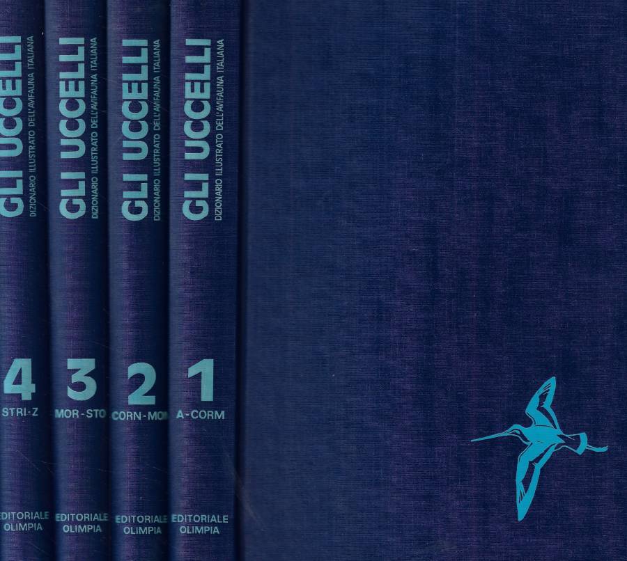 Biblioteca di Babele