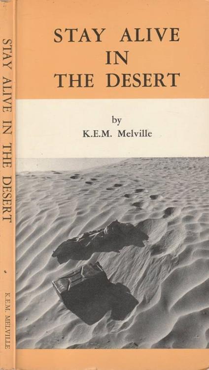 Stay alive in the desert - copertina
