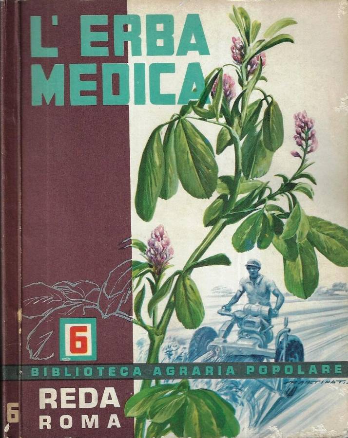 Biblioteca di Babele