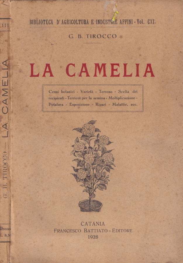 Biblioteca di Babele