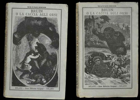 Bruin o la caccia agli orsi - copertina