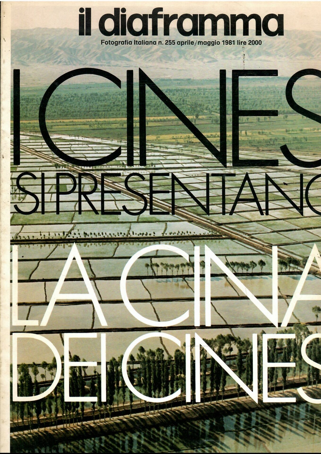 Libroteka di Fattoretti Silvia