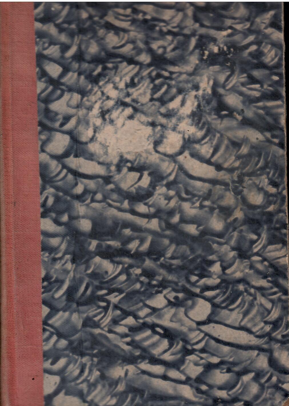 Libroteka di Fattoretti Silvia