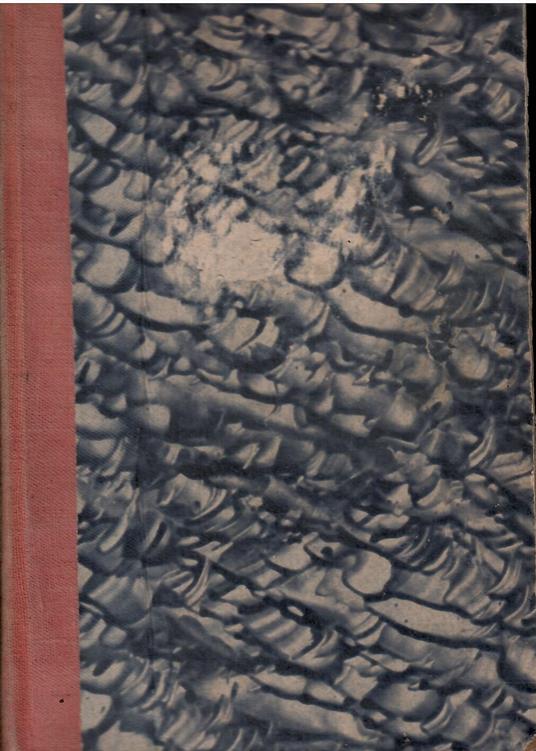 Leila - Antonio Fogazzaro - copertina