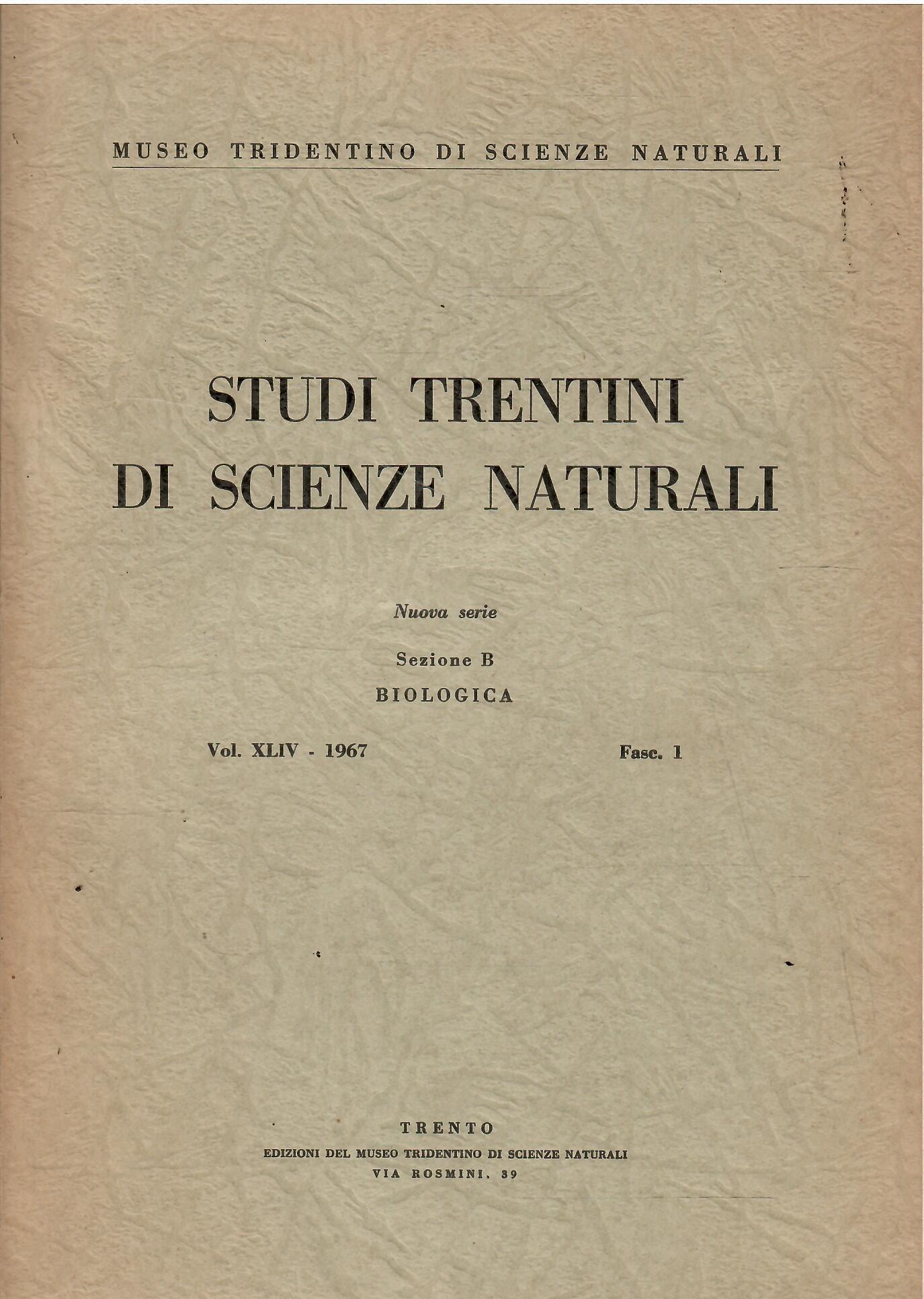 Libroteka di Fattoretti Silvia