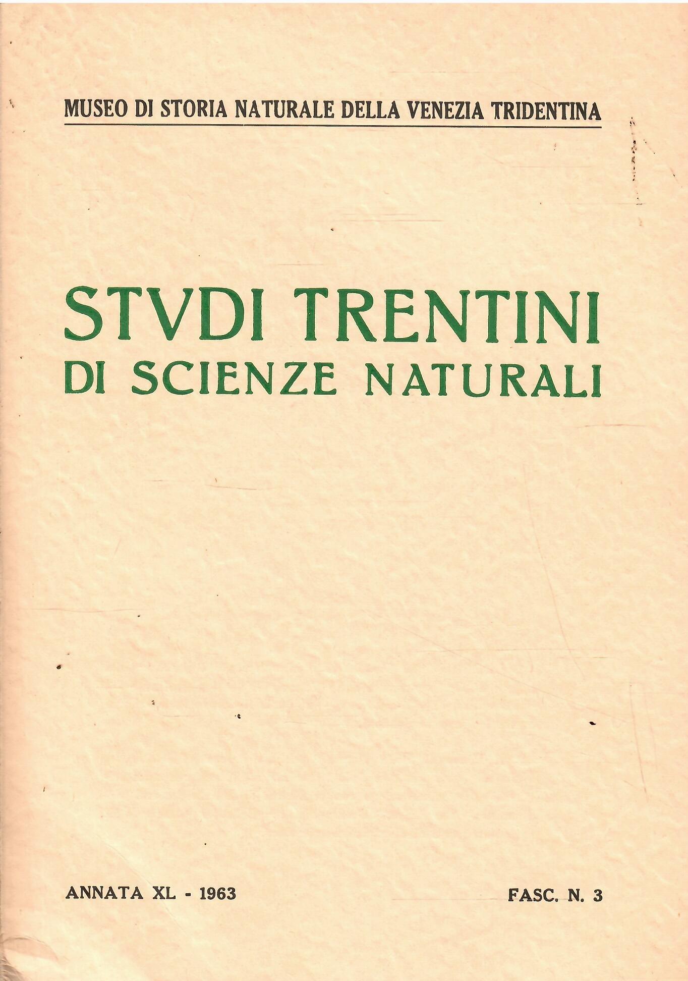 Libroteka di Fattoretti Silvia