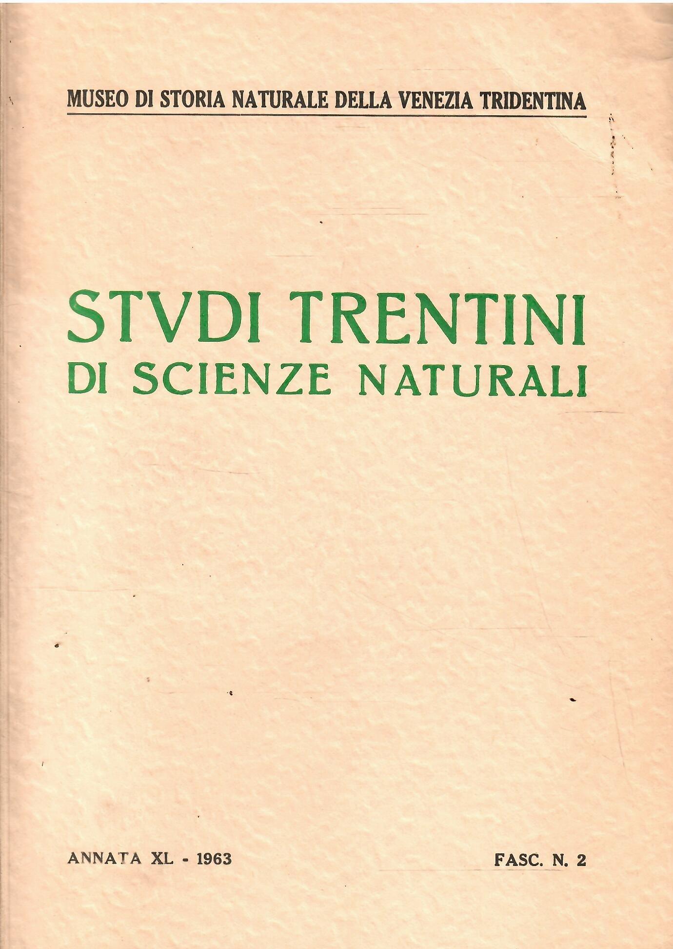 Libroteka di Fattoretti Silvia