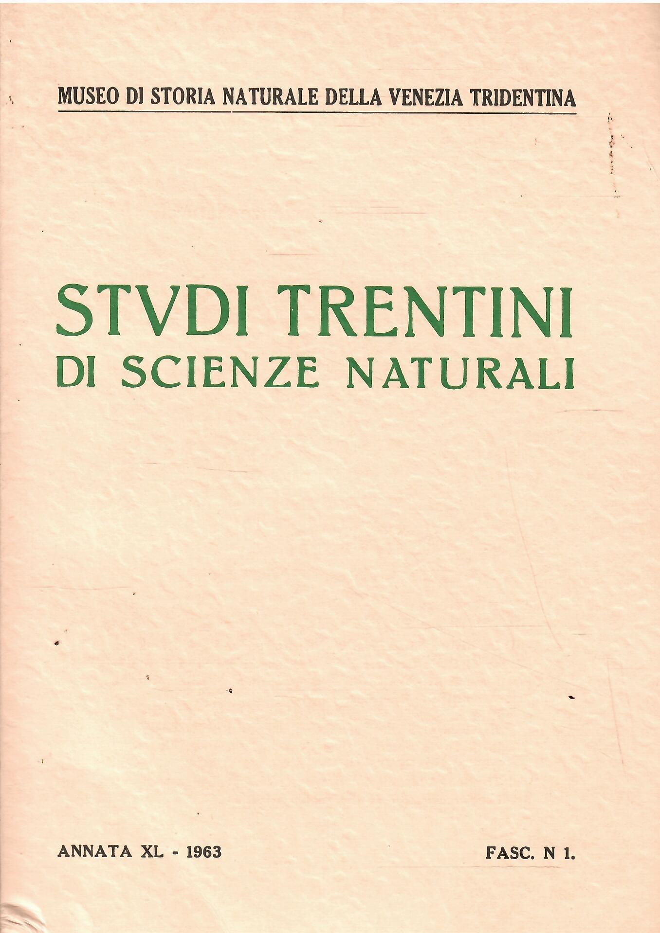 Libroteka di Fattoretti Silvia