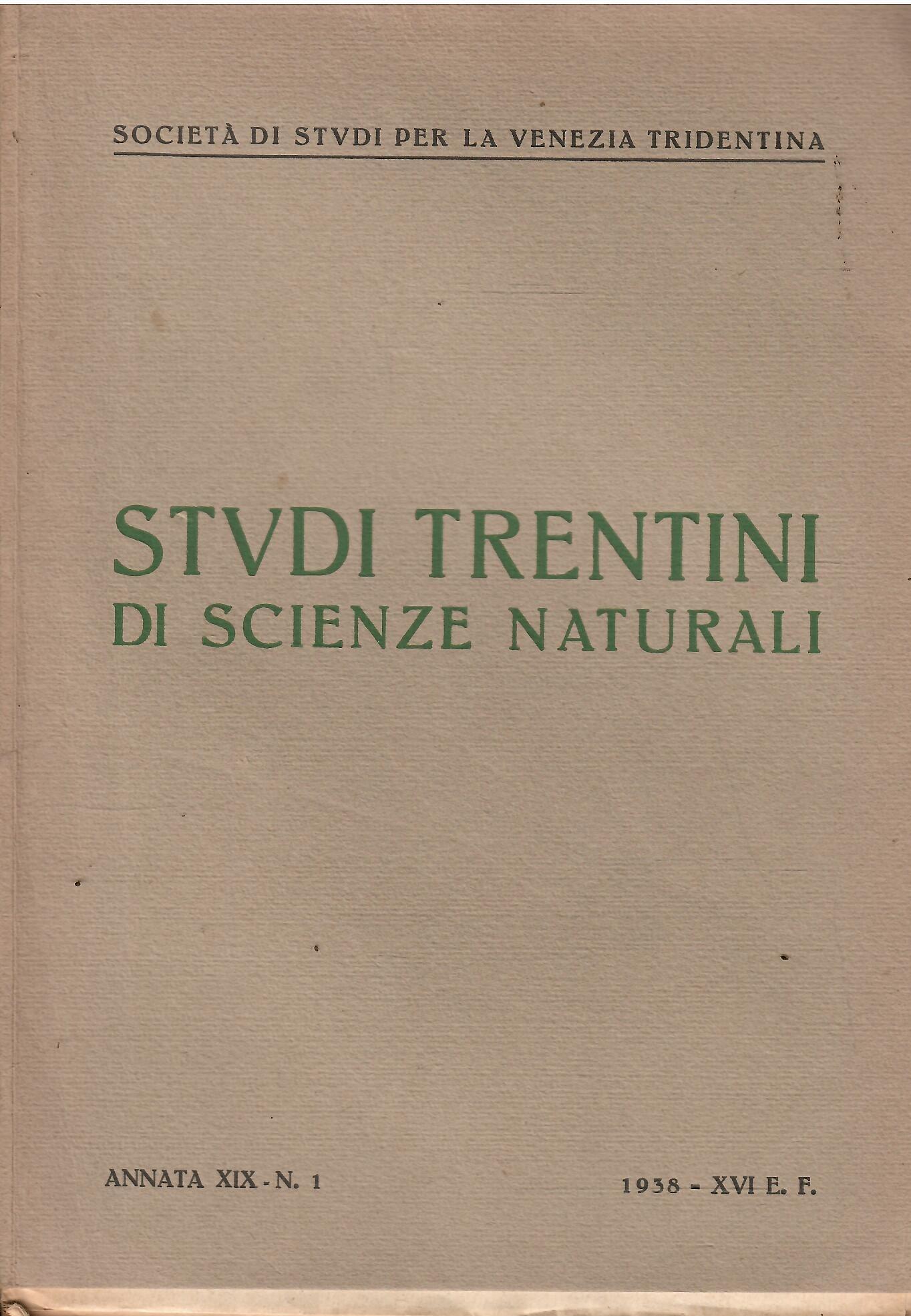 Libroteka di Fattoretti Silvia