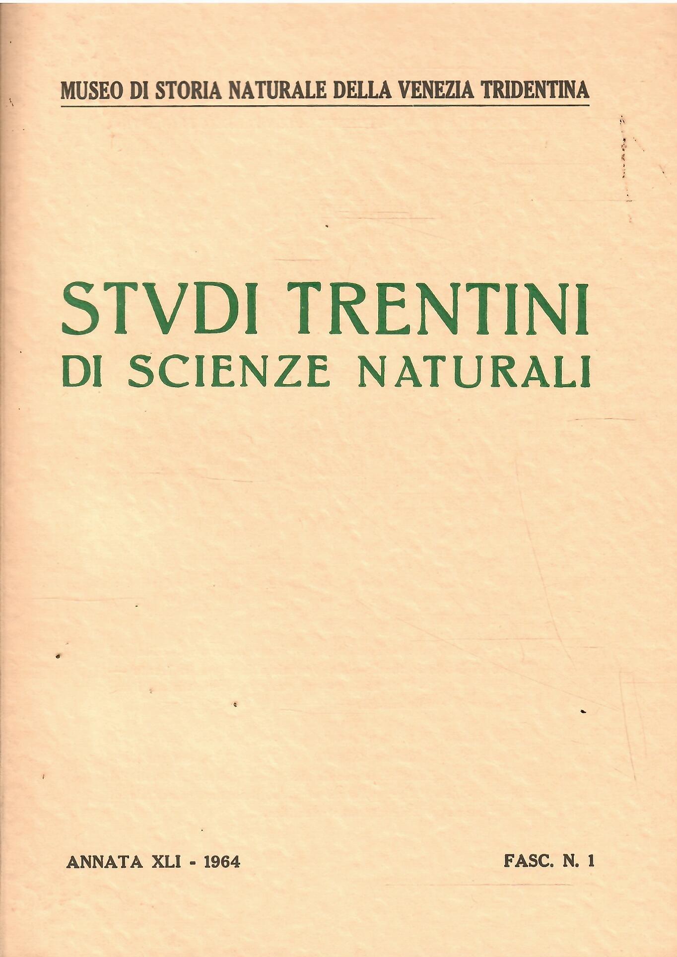Libroteka di Fattoretti Silvia