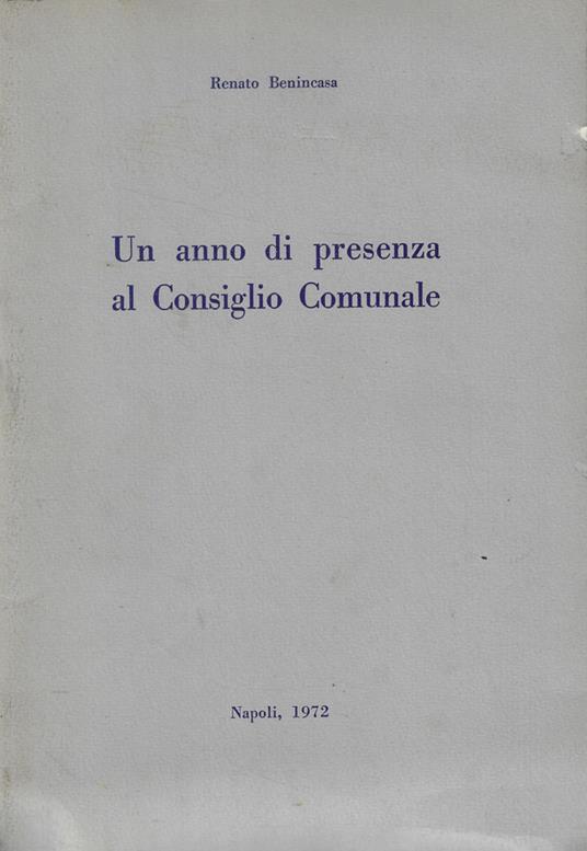 Un anno di presenza al Consiglio Comunale - copertina