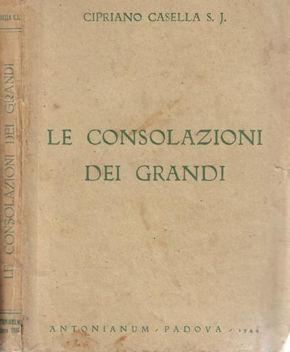 Le consolazioni dei grandi - copertina