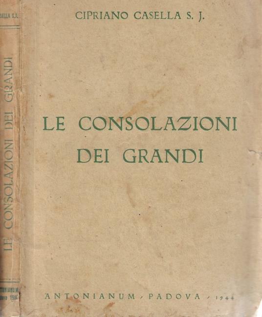 Le consolazioni dei grandi - copertina