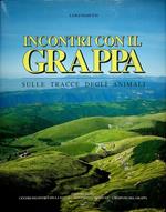 Incontri con il Grappa: sulle tracce degli animali