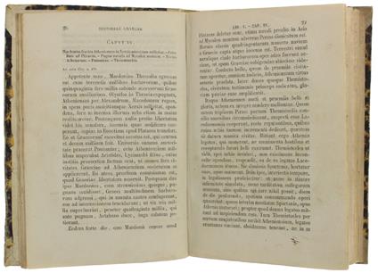 EPITOME HISTORIAE GRAECAE. Accedit lexicon latino-italicum - copertina