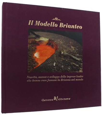 Il MODELLO BRIANTEO. Nascita, ascesa e sviluppo delle imprese leader che hanno resa famosa la Brianza nel mondo - copertina