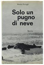 SOLO UN PUGNO DI NEVE