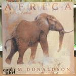 Africa. Carnets d'artiste
