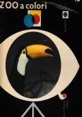 Zoo a colori - copertina