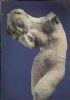Rodin rediscovered - copertina