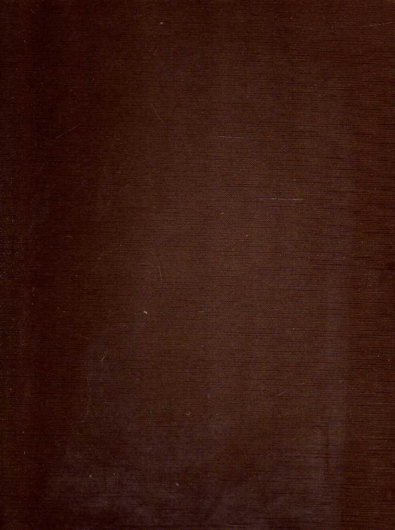 Pittori bergamaschi dal XIII al XIX secolo, il Cinquecento IV