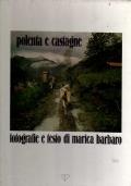 Polenta e castagne - Maria Barbarino - copertina
