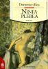 Ninfa Plebea - Domenico Rea - copertina