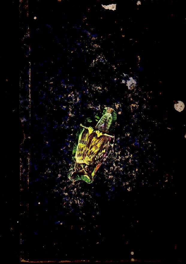 Laboratorio del libro