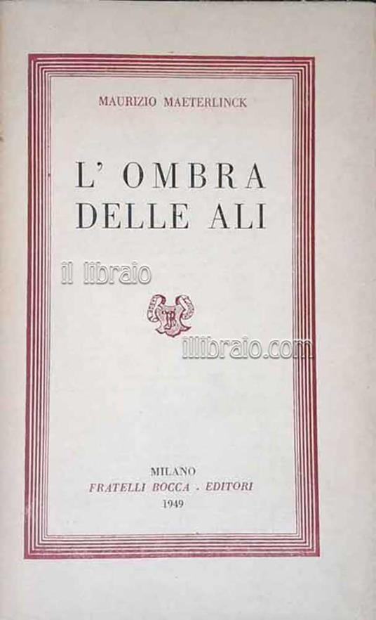 L' ombra delle ali - copertina
