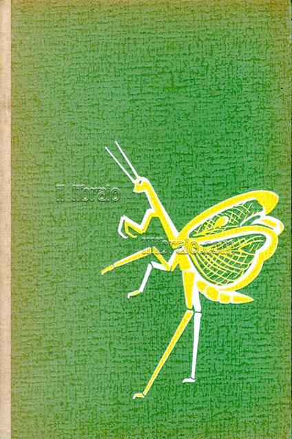 Alta giungla - copertina