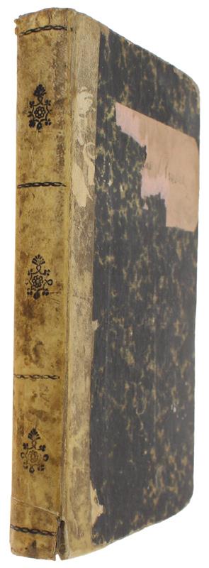 IL PRIMO AMORE. Romanzo [Prima edizione, rarisssima]