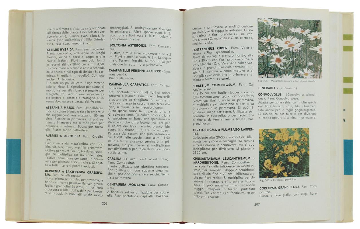 Piccola Enciclopedia Di Ortofrutticoltura