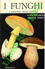 I funghi