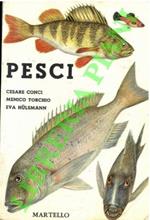 Pesci