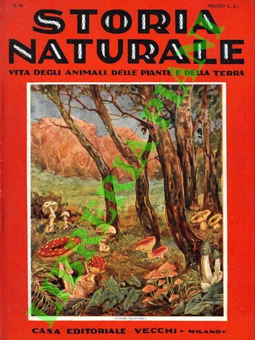 Storia naturale. Vita degli animali, delle piante e della terra. Volume III. Botanica