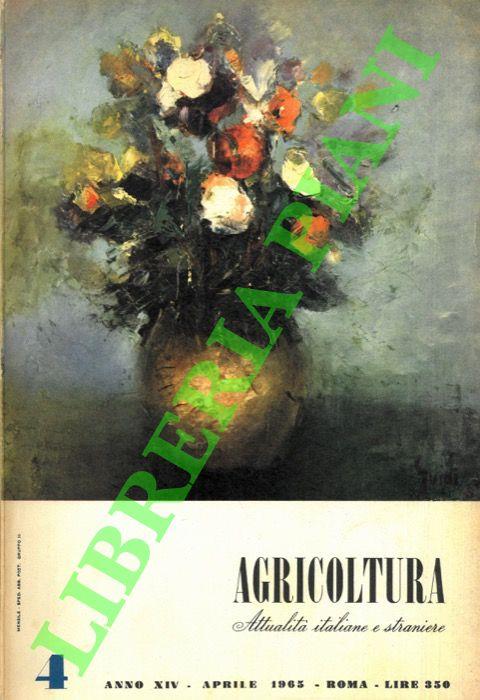 Libreria Piani