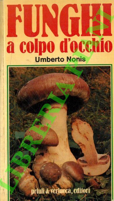 Funghi a colpo d'occhio