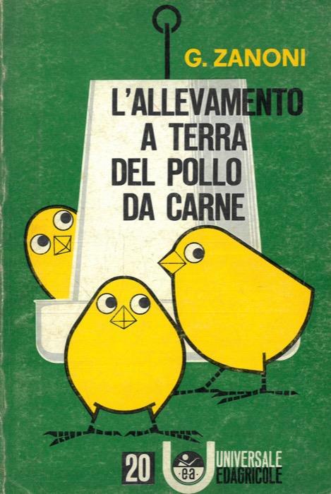 L' allevamento a terra del pollo da carne