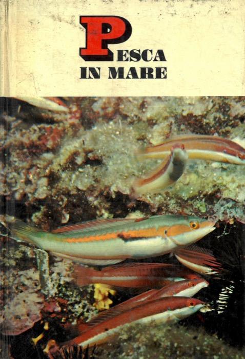 Pesca in mare