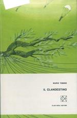 Il clandestino