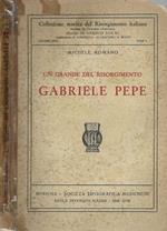 Un Grande Del Risorgimento Gabriele Pepe