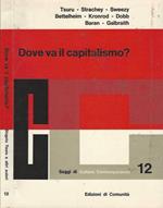 Dove va il capitalismo?