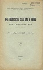 Della Framboesia Brasiliana o Bouba