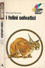 I felini selvatici