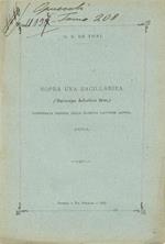 Sopra una Bacillariea (Suriraya helvetica Brun)
