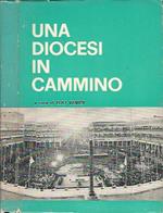 Una diocesi in cammino