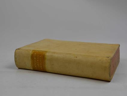 Statutorum magnificae civitatis Veronae libri quinque… - copertina