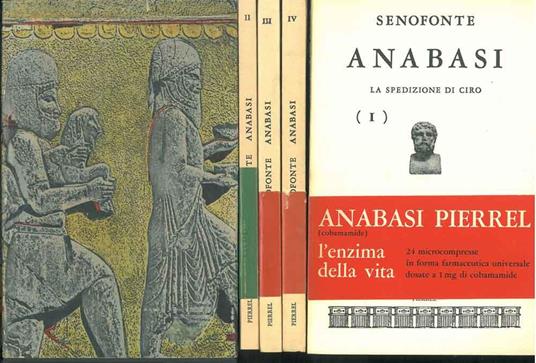 Anabasi. La spedizione di Ciro Introduzione e note di P. Guardigli Traduzione di L. Mazzone - Senofonte - copertina