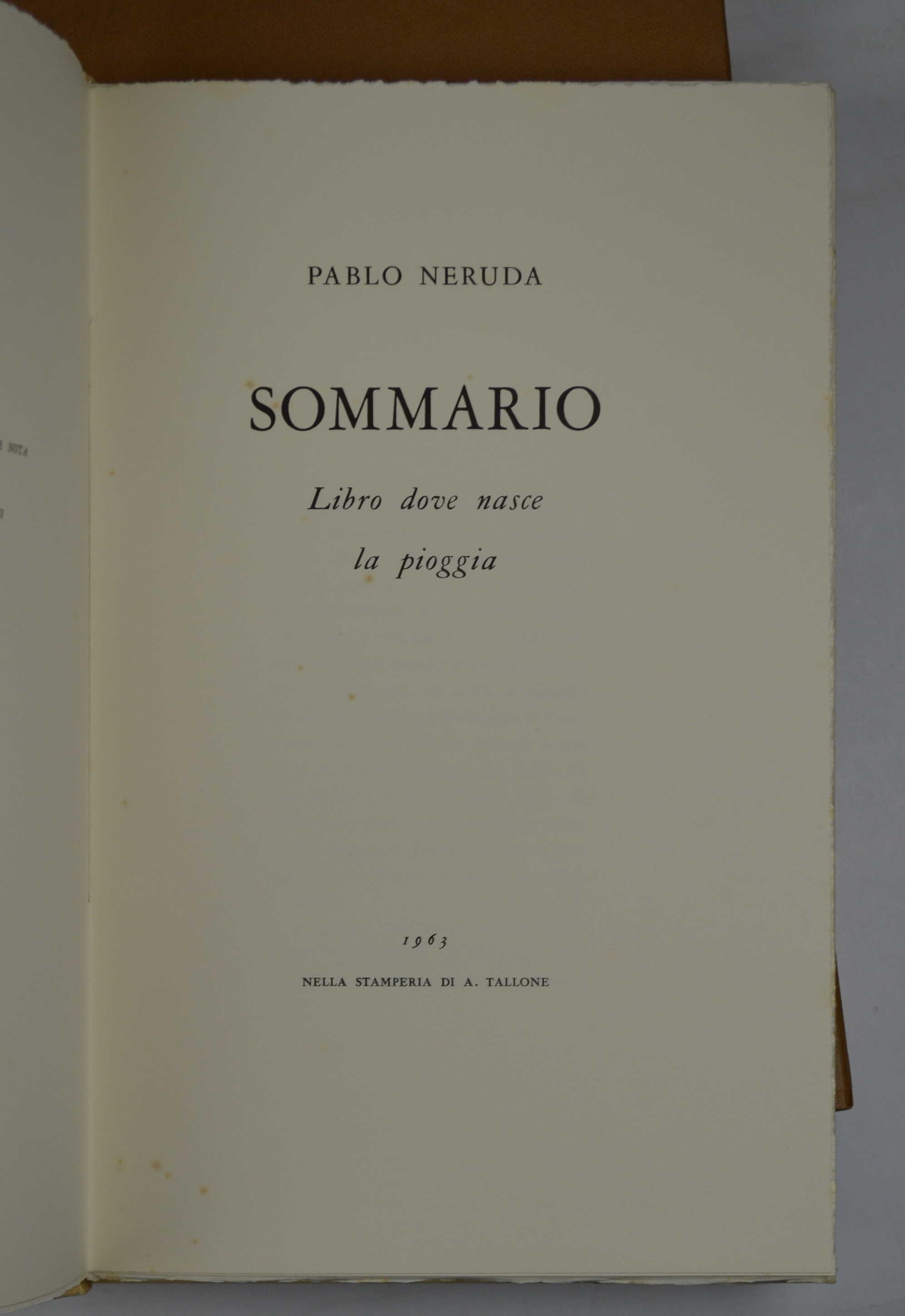 Sumario. Libro donde nace la lluvia